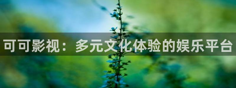 麥田電影院今日影訊：可可影視：多元文化體驗(yàn)的娛樂(lè)平臺(tái)