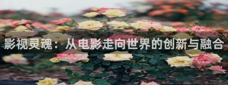 麥田電影高清在線觀看：影視靈魂：從電影走向世界的創(chuàng)新與融合